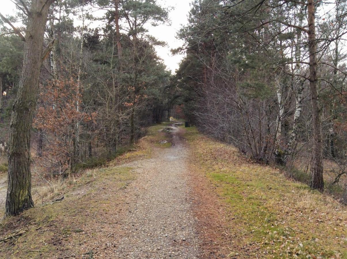 Acacia 1 Hengelhoef Aan de Wolfsberg المظهر الخارجي الصورة