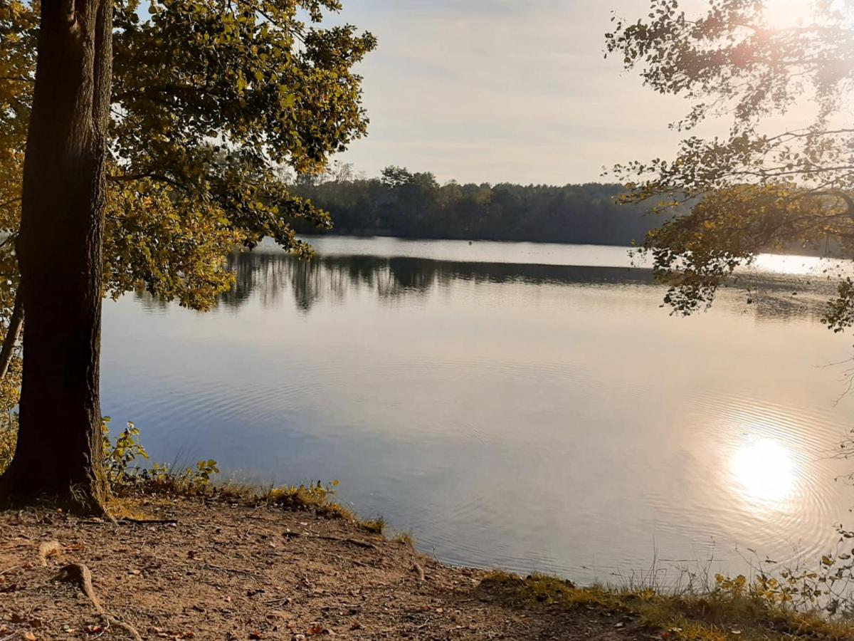 Acacia 1 Hengelhoef Aan de Wolfsberg المظهر الخارجي الصورة